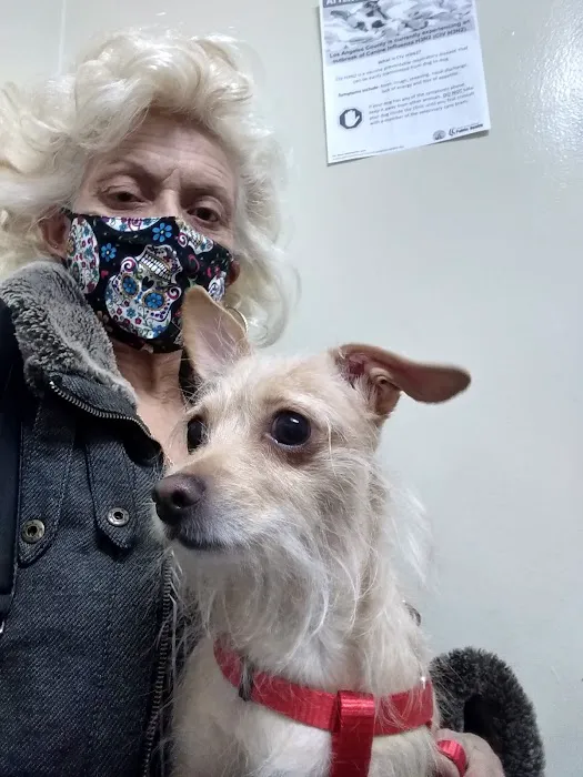 Lynwood Dog and Cat Hospital Picture 8