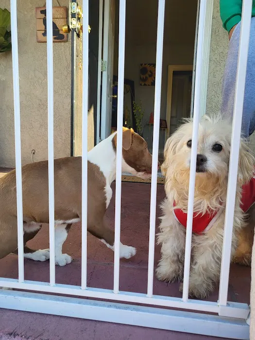 Huntington Park Dog & Cat Clinic Picture 4