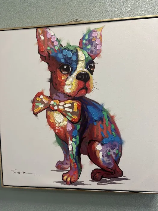 Huntington Park Dog & Cat Clinic Picture 10