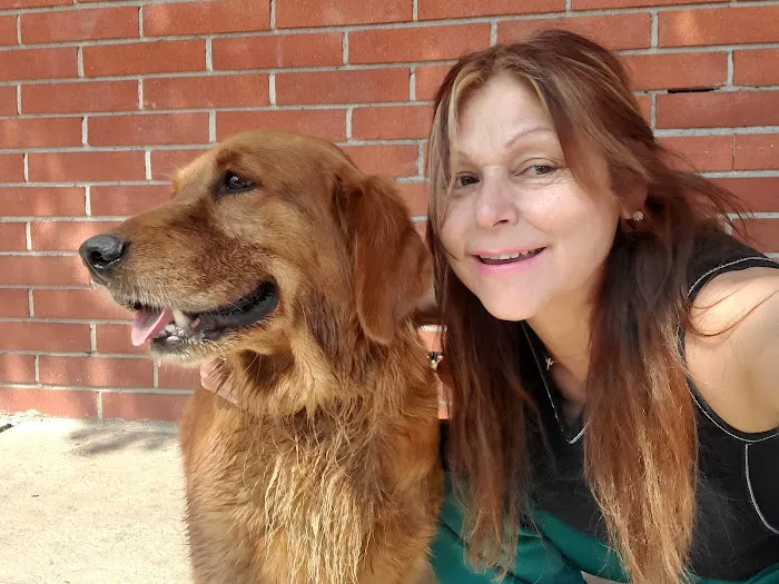 South Gate Dog - Cat Hospital Picture 2
