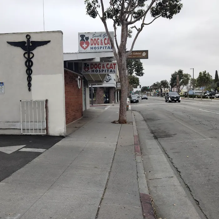 South Gate Dog - Cat Hospital Picture 6