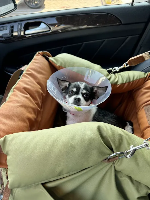 Animal Urgent Care K-Town Picture 4
