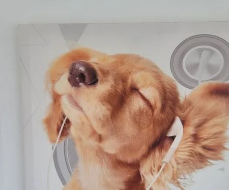 Beverly Pet Clinic