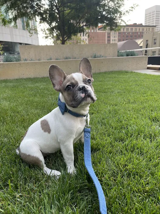 Beverly Pet Clinic Picture 4