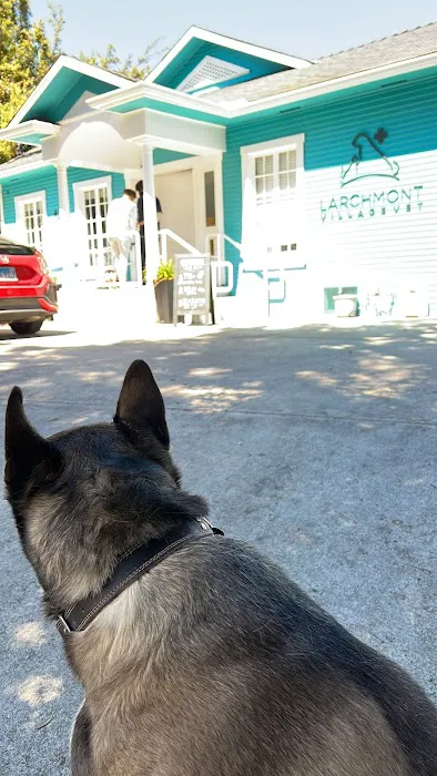 Larchmont Village Vet Picture 1