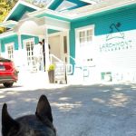 Larchmont Village Vet