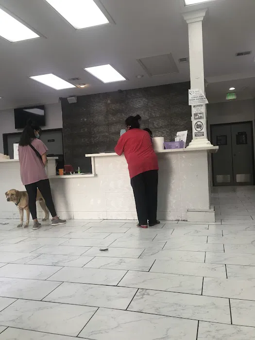Ambassador Dog & Cat Hospital Picture 2