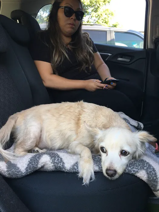 Ambassador Dog & Cat Hospital Picture 8