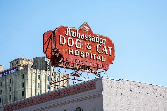 Ambassador Dog & Cat Hospital Picture 7