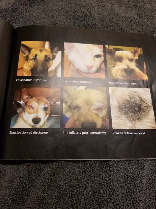 Eye Care for Animals - Torrance Picture 4