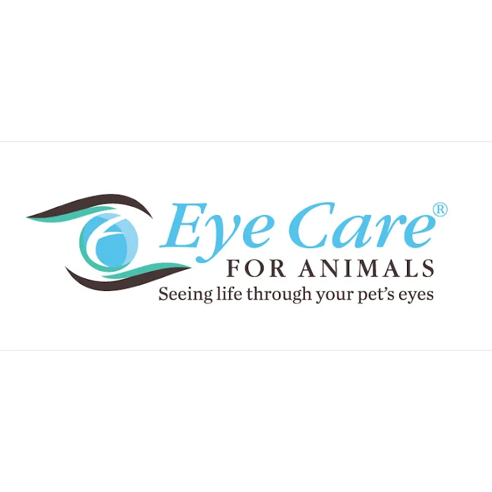 Eye Care for Animals - Torrance Picture 7