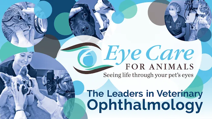 Eye Care for Animals - Torrance Picture 8