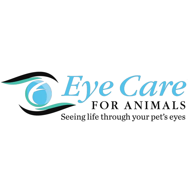 Eye Care for Animals - Torrance Picture 9