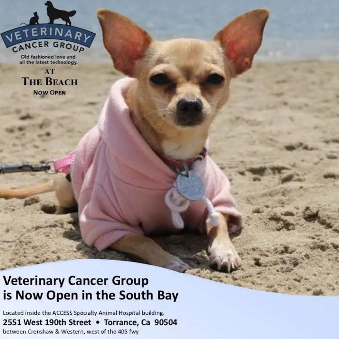 Veterinary Cancer Group SB, A Thrive Pet Healthcare Partner Picture 4