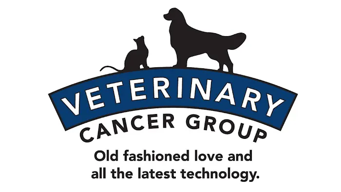 Veterinary Cancer Group SB, A Thrive Pet Healthcare Partner Picture 7