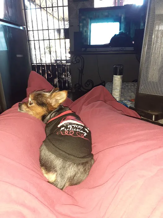 California Veterinary Hospital Picture 1