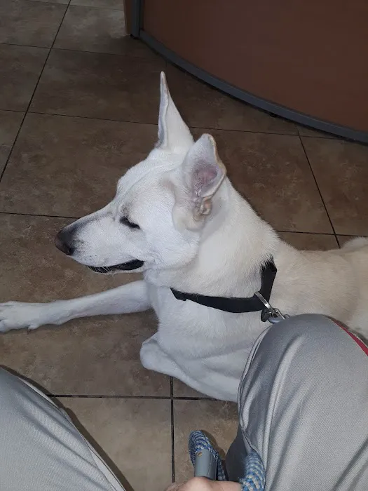 California Veterinary Hospital Picture 2