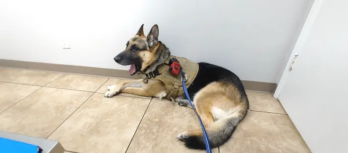 California Veterinary Hospital Picture 3