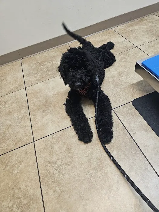 California Veterinary Hospital Picture 8
