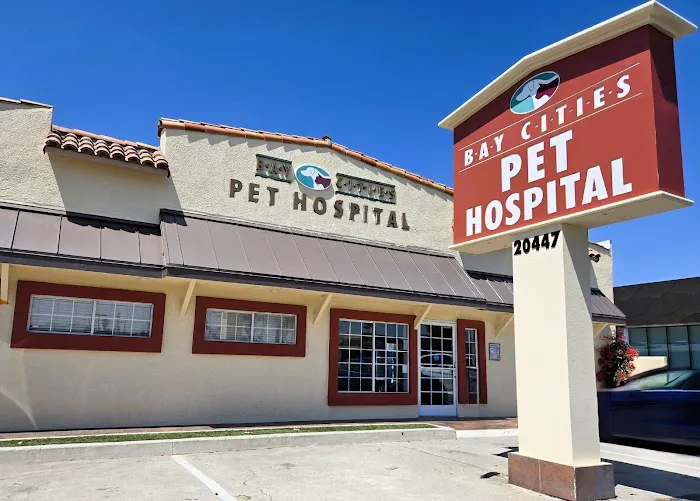 Bay Cities Pet Hospital Picture 3