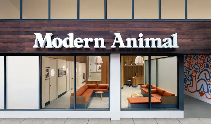 Modern Animal Picture 10