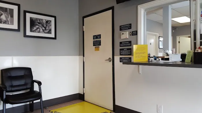 Animal-AM Emergency Clinic of Pasadena Picture 4