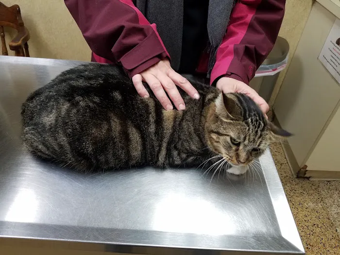 VCA Foothill Veterinary Hospital Picture 6