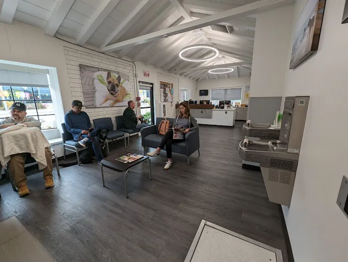 VCA Foothill Veterinary Hospital Picture 8