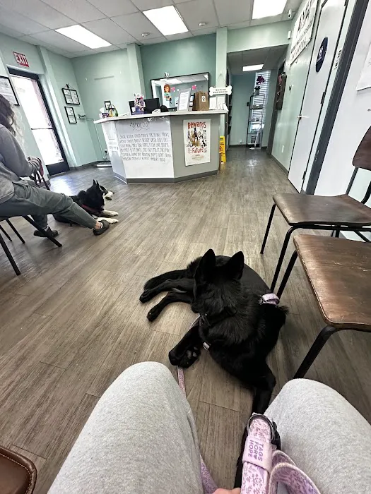 Animal Medical Hospital Picture 1
