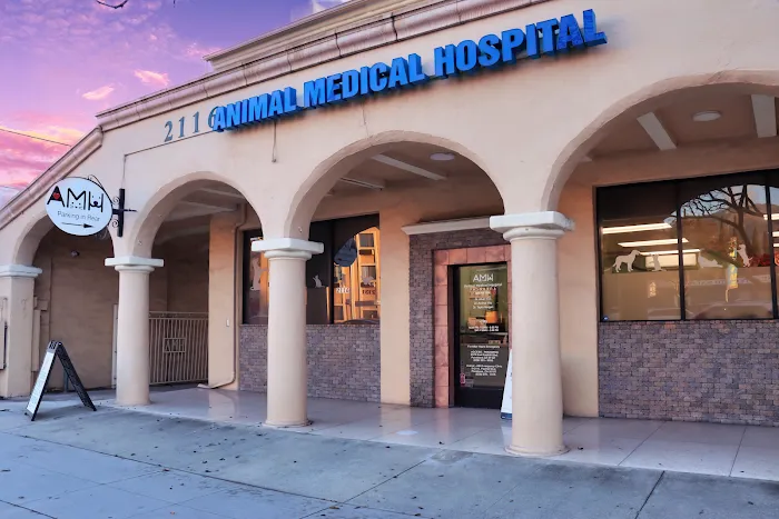 Animal Medical Hospital Picture 10