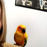 Exotic Animal Veterinary Center ico