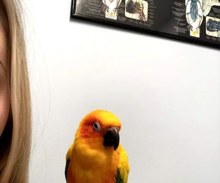 Exotic Animal Veterinary Center