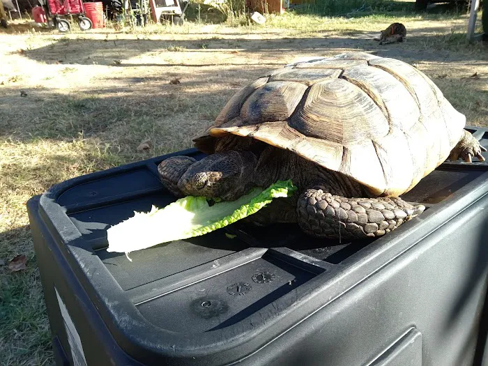 Exotic Animal Veterinary Center Picture 4