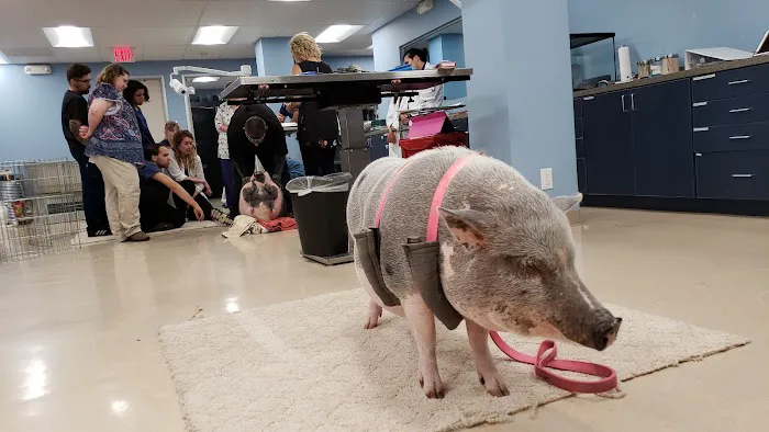 Exotic Animal Veterinary Center Picture 8
