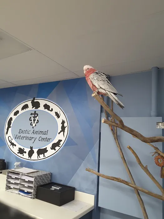 Exotic Animal Veterinary Center Picture 10