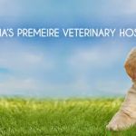 Rose City Veterinary Hospital