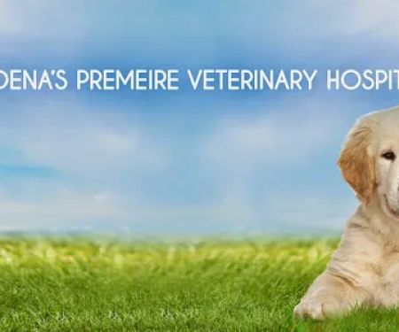 Rose City Veterinary Hospital