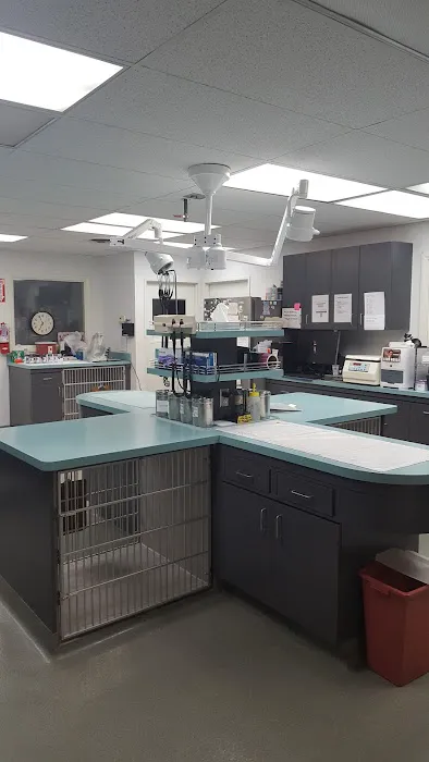 Rose City Veterinary Hospital Picture 6