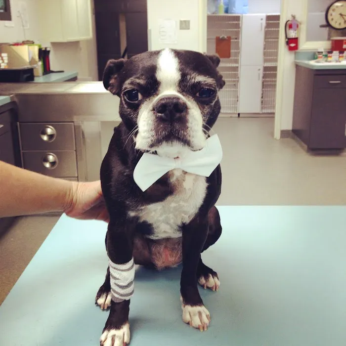 Rose City Veterinary Hospital Picture 7