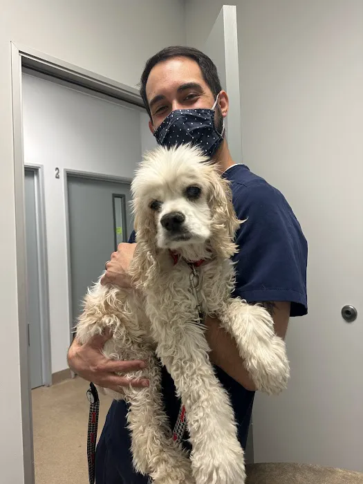 Animal Dermatology Clinic Picture 5