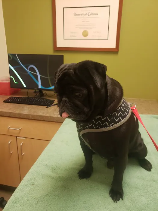 Animal Dermatology Clinic Picture 6