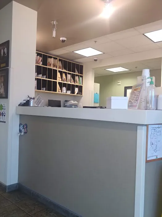 Eye Care for Animals - Pasadena Picture 7