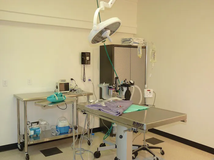 Pasadena Pets Veterinary Hospital Picture 2