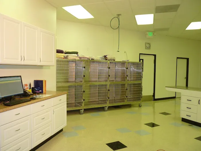 Pasadena Pets Veterinary Hospital Picture 1