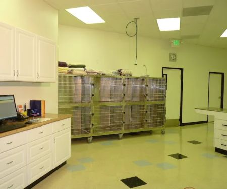 Pasadena Pets Veterinary Hospital