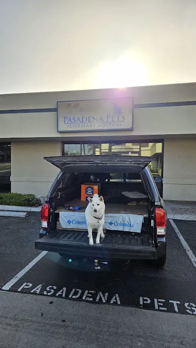 Pasadena Pets Veterinary Hospital Picture 9