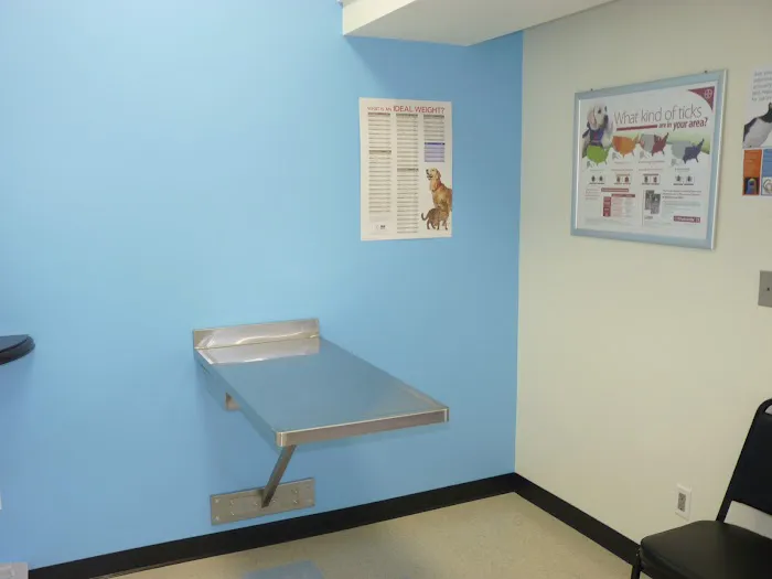 Pasadena Pets Veterinary Hospital Picture 10