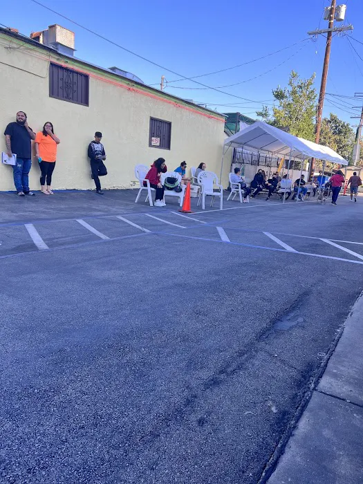 North Figueroa Animal Hospital Picture 5