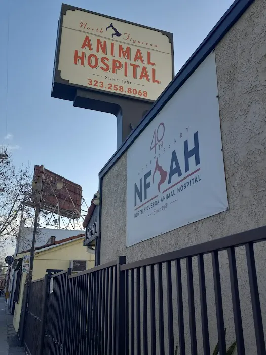 North Figueroa Animal Hospital Picture 4