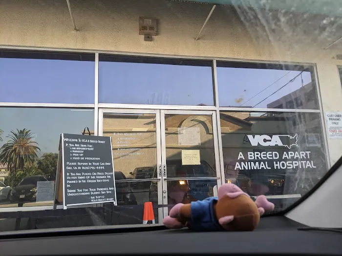 VCA A Breed Apart Animal Hospital Picture 6